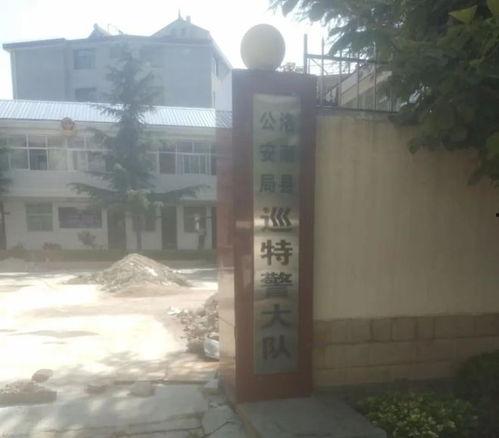 洛南爆料最新消息,最新消息揭示惊人内幕! 第3张 洛南爆料最新消息,最新消息揭示惊人内幕! 第3张